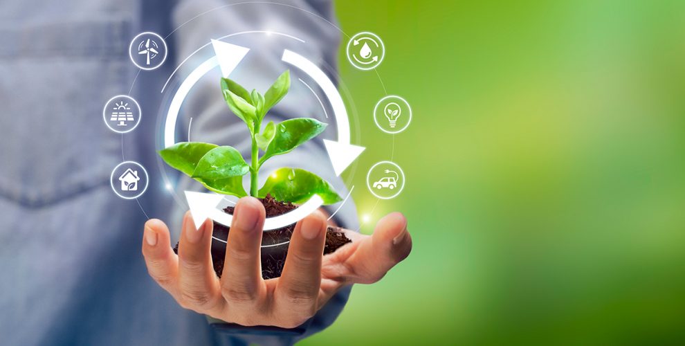 Sustainable Practices